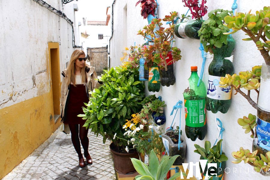 Flores y plantas en una calle de Elvas